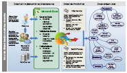 EnterCalc Clinical Analytics Deskmat